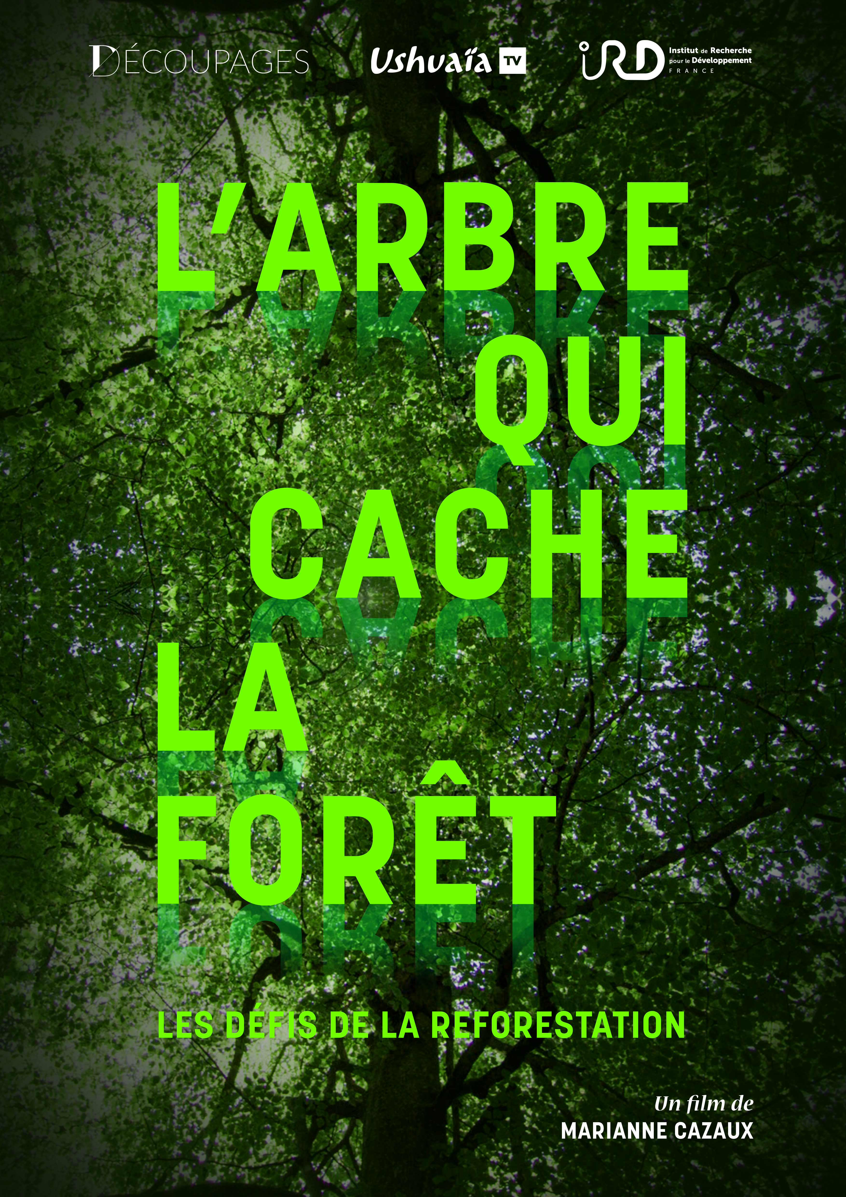 L'arbre qui cache la forêt, les défis scientifique du reboisement