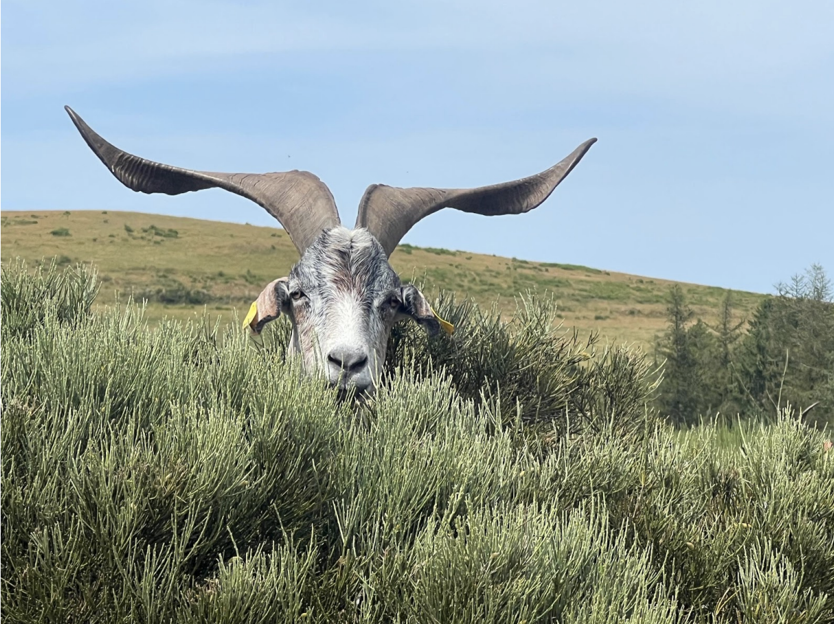 Par monts et par drailles